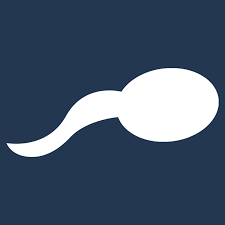 Downloadpng — mobile life simulator games option 6