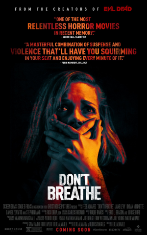 69 Dont Breathejpg — modern horror movies option 64