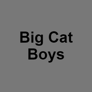Big Catpng — Monster BOY tier list option 9