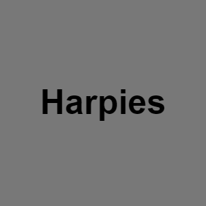 Harpiepng — Monster BOY tier list option 33