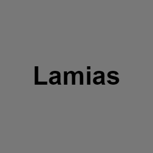 Lamiapng — Monster BOY tier list option 38