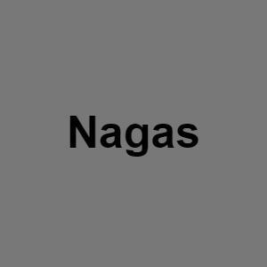 Nagapng — Monster BOY tier list option 50