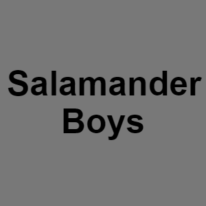 Salamanderpng — Monster BOY tier list option 59