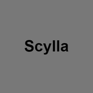 Scyllapng — Monster BOY tier list option 61