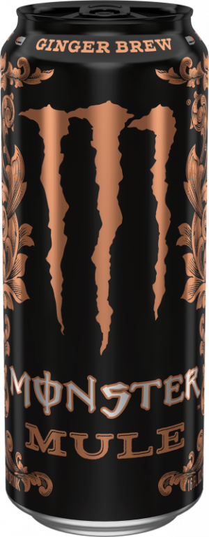 Ee9069195518551169fdf45ea6f4adcdpng — Monster Energy 2020 option 23