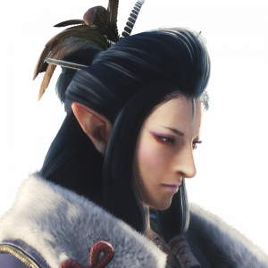 Zz1630657364third Fleet Leaderpng — Monster Hunter Smash or Pass (Female Characters only) option 23