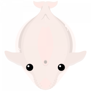 Bluewhale 1png — Mope.io Skin Tier List (Halloween) option 6