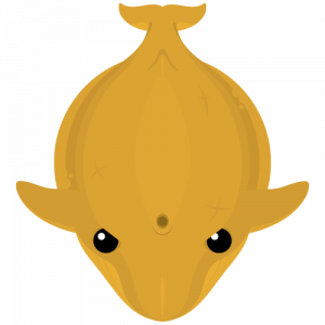 Bluewhalepng — Mope.io Skin Tier List (Halloween) option 7