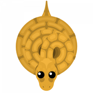 Boaconstrictorpng — Mope.io Skin Tier List (Halloween) option 9