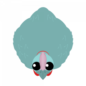 Cassowary 1png — Mope.io Skin Tier List (Halloween) option 11