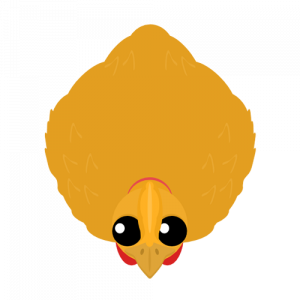 Cassowarypng — Mope.io Skin Tier List (Halloween) option 12