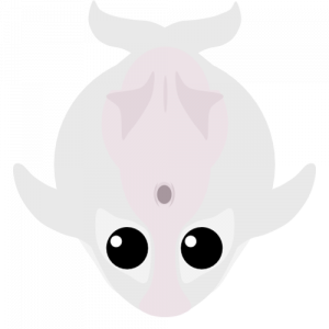 Killerwhale 1png — Mope.io Skin Tier List (Halloween) option 37
