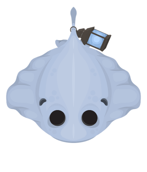 Stingrayshoppng — Mope.io Skin Tier List (Halloween) option 81