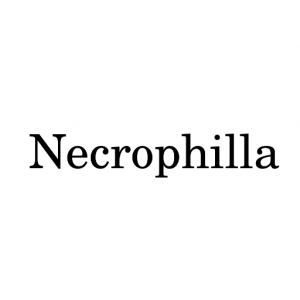Necrophillapng — Morality Tier List (1.2) option 38