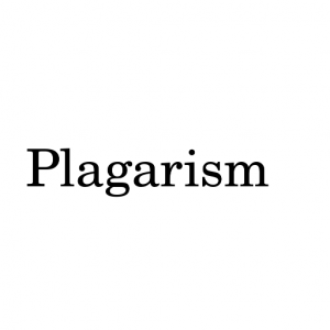 Plagarismpng — Morality Tier List (1.2) option 44