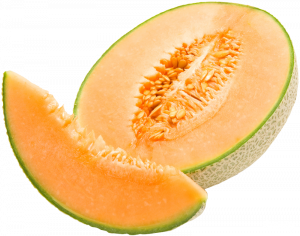 Cantaloupepng — Morally Correct Fruit Tier List option 4
