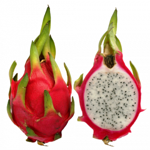 Dragonfruitpng — Morally Correct Fruit Tier List option 7