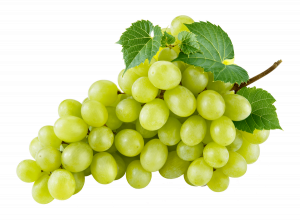 Ggrapepng — Morally Correct Fruit Tier List option 8