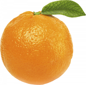 Orangepng789png — Morally Correct Fruit Tier List option 12