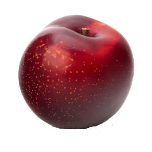 Plumpng — Morally Correct Fruit Tier List option 16