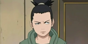 Shikamarujpg — Most Main/side characters tier list Logan T option 84