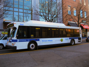 3861607442598edc88dacbjpeg — MTA NYC Bus Fleet Tier List option 6