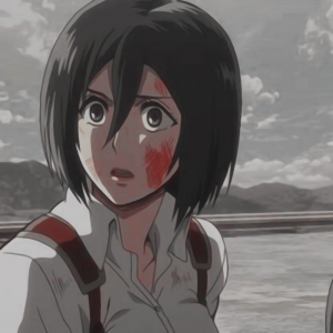 Mikasa Ackerman 1080jpg — mudae top 100 option 57
