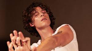 Shawn Mendesjpg — Music Artist Tier List option 53