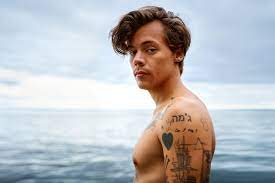 Styles Harryjpg — Music Artist Tier List option 55