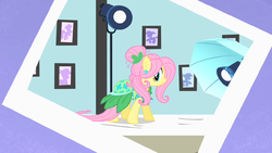 Fluttershyphotoshoot2s1e20png — My little Pony Friendship is Magic Season 1 Tier option 2