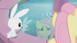 Zz1567350443fluttershyandangellookingattheirreflectionss9e18png — My little Pony Friendship is Magic Season 9 option 18