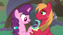 Zz1570295752bigmacgivessugarbelleanengagementrings9e23png — My little Pony Friendship is Magic Season 9 option 23