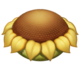 Flowah Eggpng — My Singing Monsters - All Eggs option 70