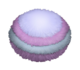 Whaddle Eggpng — My Singing Monsters - All Eggs option 231