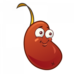 Zz1650777307chilibean Png — My Top Plants PvZ 2 option 115