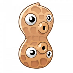 Zz1650777780peanut Png — My Top Plants PvZ 2 option 146