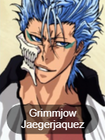 Bleach08png — MyAnimeLists Top 750 Anime and Manga Characters option 79