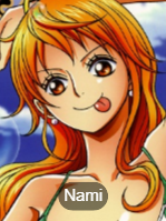Onepiece06png — MyAnimeLists Top 750 Anime and Manga Characters option 530