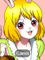 Onepiece14png — MyAnimeLists Top 750 Anime and Manga Characters option 538