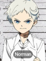 Zz1588978671thepromisedneverland3png — MyAnimeLists Top 750 Anime and Manga Characters option 676