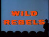 0207jpg — MST3K Episodes (The Mega List) option 40