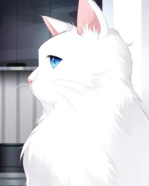 2fd48c73 Ade0 490d A6c8 F8a438d2ea3ejpeg — Mystic Messenger & Mr Love: Queen's Choice charact option 3