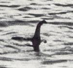Locnessjpg — Mythical Creatures option 8