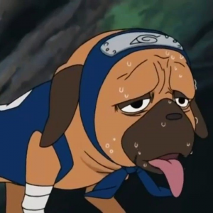 Pakkunjpg — Naruto Classico ( sem figurantes ) Filosofisica option 51