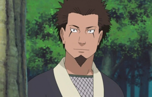 Zz1574982890prime Hiruzenjpg — Naruto (Franchise) Definitive Power Hierarchy option 156