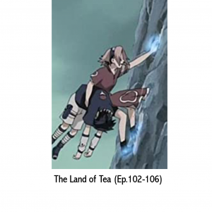 102 1062jpg — Naruto (I) Filler Arcs (Names & Episode #s) option 2