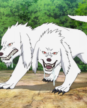 Zz1586201851doubleheadedwolfpng — Naruto Part 1 Strongest Characters option 99