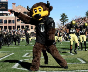 Barffalooooojpg — NCAA MASCOTS option 1