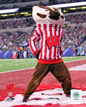 Buckyjpg — NCAA MASCOTS option 4