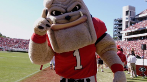 Georgiajpg — NCAA MASCOTS option 13